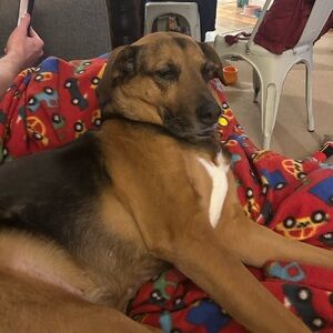 Meet your Posher, Sophie